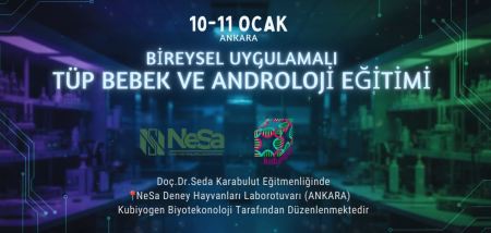 Tüp Bebek ve Androloji Eğitimi